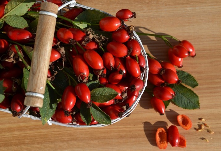 Forrás: Pixabay
